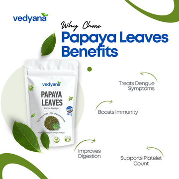 Vedyana Papaya Leaves | Carica papaya Dried Leaves