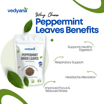 Vedyana Peppermint Leaves (Mentha piperita) | Dried Pudina