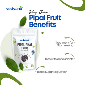 Vedyana Pipal Phal | Peepal Fruit | Ficus religiosa