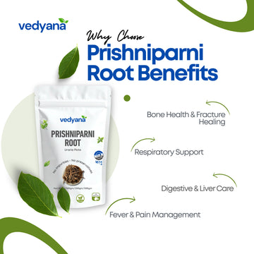 Vedyana Prishnaparni Root (Uraria picta)