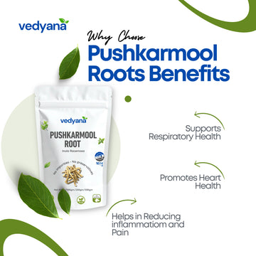 Vedyana Pushkarmool Roots (Inula racemosa) | Indian Elecampane Root
