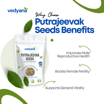 Vedyana Putrajeevak Seeds (Putranjiva roxburghii) | Beej