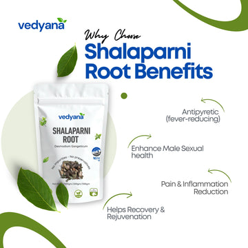 Vedyana Shalaparni Root (Desmodium gangeticum)