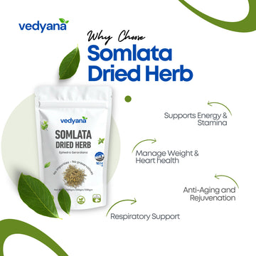 Vedyana Somlata Herb (Ephedra gerardiana) | Soma Herb