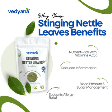 Vedyana Stinging Nettle Leaves | Urtica dioica