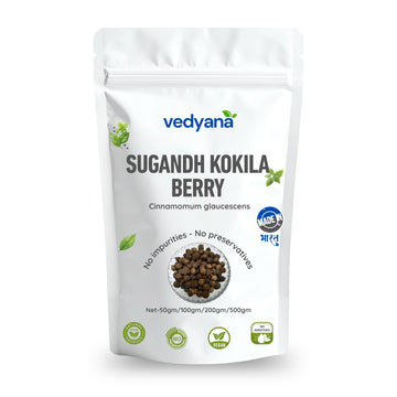 Vedyana Sugandh Kokila Berry (Cinnamomum glaucescens) | Aromatic Seeds