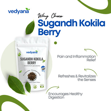 Vedyana Sugandh Kokila Berry (Cinnamomum glaucescens) | Aromatic Seeds