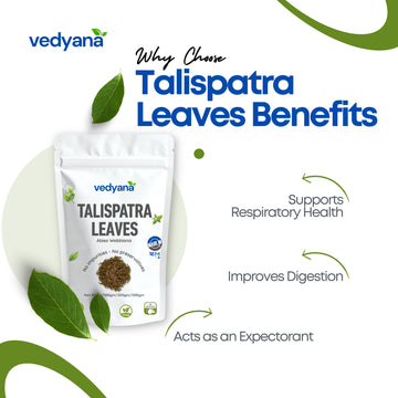 Vedyana Talispatra Leaves (Abies webbiana) | Indian Silver Fir Leaves