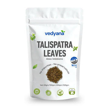 Vedyana Talispatra Leaves (Abies webbiana) | Indian Silver Fir Leaves