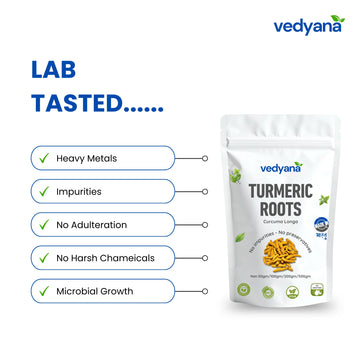 Vedyana Turmeric Roots (Curcuma longa) | Haldi Root
