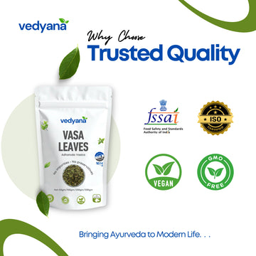 Vedyana Vasa Leaves (Adhatoda vasica) | Malabar Nut Leaves