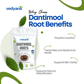 Vedyana Dantimool Roots (Baliospermum montanum)