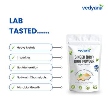Vedyana Dry Ginger Powder (Zingiber officinale) | Sonth Powder