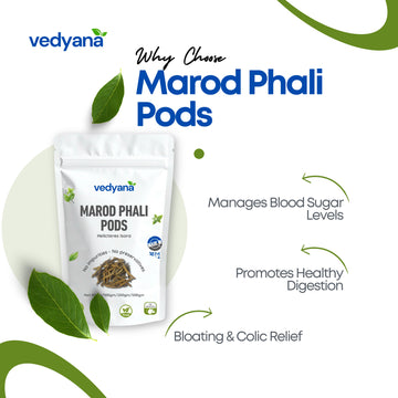 Vedyana Marod Phali Pods (Helicteres isora) | Indian Screw Tree | Herbal Pods