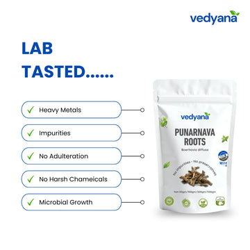 Vedyana Punarnava Roots (Boerhavia diffusa) | Natural Ayurvedic Herb